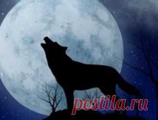 (103) Наука и жизнь