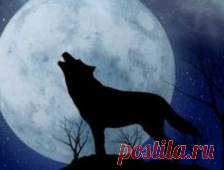 (103) Наука и жизнь