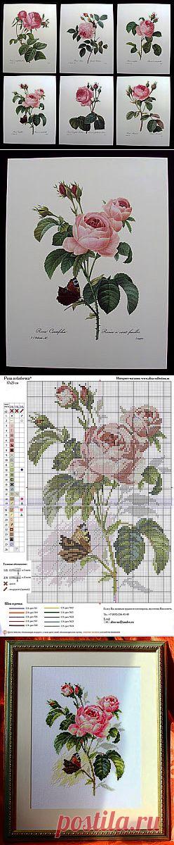 Милые сердцу штучки: рукоделие, декор и многое другое: Вышивка крестом: "Роза и бабочка" (схема)