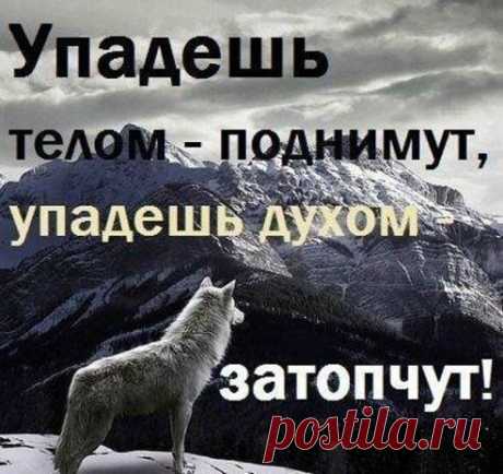Светлана Запарова(Попова)

Друзья, не падайте духом..