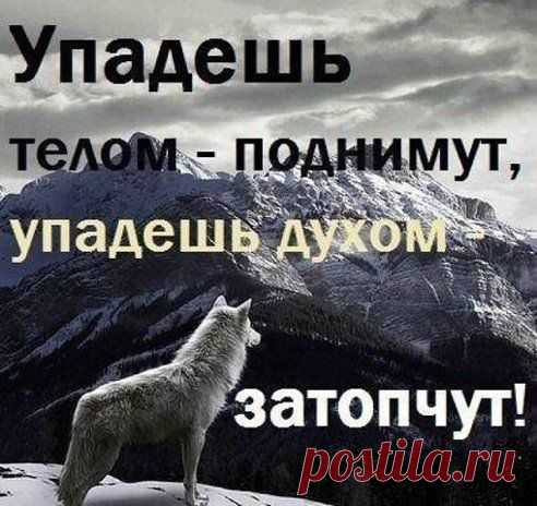 Друзья, не падайте духом..