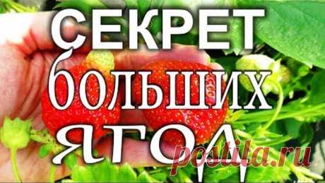2 непрочитанных чата