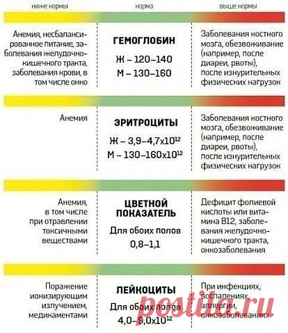 = АНАЛИЗ КРОВИ = ВАЖНО самим понять что и как,
а не надеяться на нынешних малограмотных врачей-рвачей,
которые диагнозы ставят по интернету и даже латыни не знают
(уж не говоря о клятве Гиппократа)
 Стандартный пример: 
врач, быстренько и равнодушно взглянув на результаты, 
с псевдоумным видом объявляет: 
«С вами всё нормально» или «Вы больны»...,
но между этими диагнозами может быть или пропасть,или шаткое равновесие...
Для несложного ликбеза и понимания - сохраните себе - пригодится: