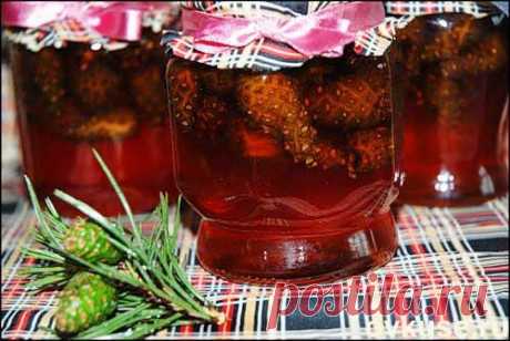 Варенье из еловых шишек - Простые рецепты Овкусе.ру
