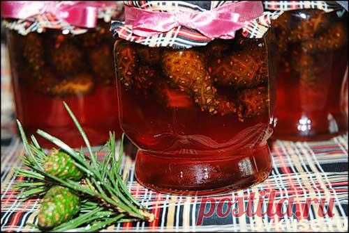 Варенье из еловых шишек - Простые рецепты Овкусе.ру