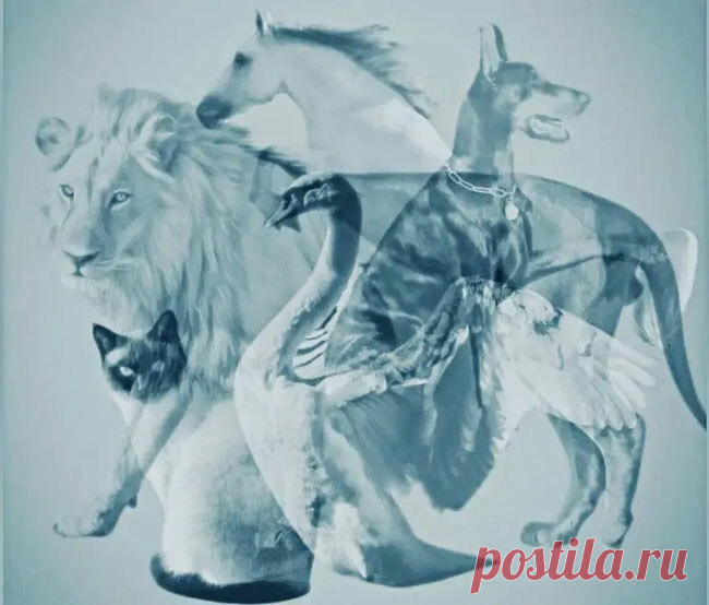 Тест - Раскройте суть своей личности! Какое из животных вы заметили первым?Собака