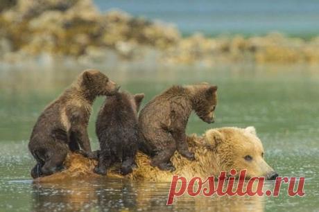 Мама всегда поможет))