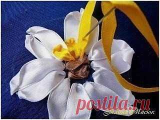 Уроки вышивки лентами от Галины Масюк
Для вышивки понадобятся:
ЛЕНТЫ:
— белая — 1,2см;
— коричневая — 1,2см:
— жёлтая — 6мм;
— оранжевая — 6мм;
— нитки ИРИС жёлтого цвета;
— игла с широким ушком;
— ножницы;
— ткань;
— пяльцы.
Первый вариант
В круге я схематично нарисовала цветок. Наметила этот круг на ткани.
Определила центр будущего цветка.
Белой лентой (1,2см) вышила сложный лепесток с помощью двух«стежков с завитком». Обратите внимание: у левого стежка прокол иглой ближе к краю ленты спра