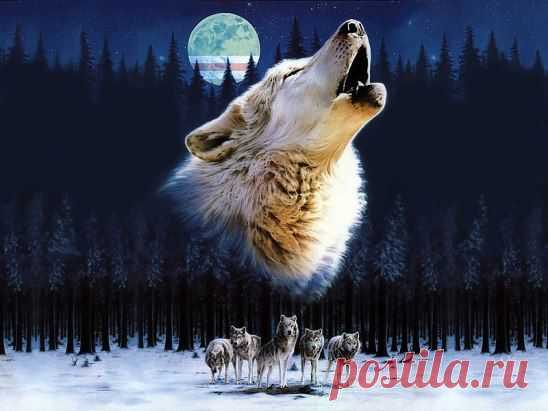 Осколок веры в сердце я храню....