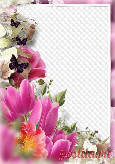 PSD, PNG, Photo frame with flowers, there is no limit imagination. Transparent PNG Frame, PSD Layered Photo frame template, Download.