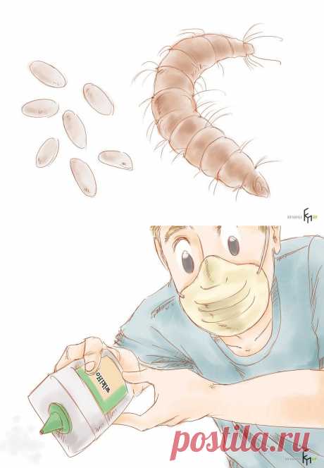 Нет блохам в квартире - Наши дома