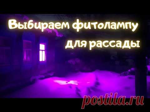 Фитолампа. Выбираем фитолампу для рассады