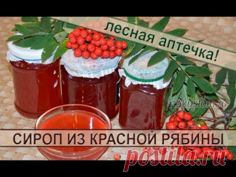 Сироп из ягод красной рябины: рецепт полезной, вкусной заготовки на зиму.