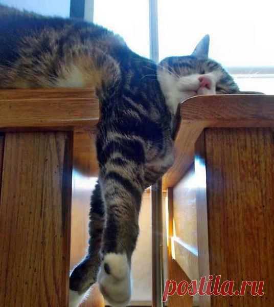 geram: Каким судом судите,таким будете судимы;и какою мерою мерите,такою и вам будут мерить---Иисус Христос