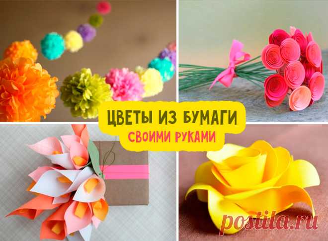 Цветы из бумаги своими руками: схемы и шаблоны Как сделать цветок из бумаги своими руками? Шаблоны и схемы цветов для вырезания из бумаги. Пошаговые мастер-классы с фото