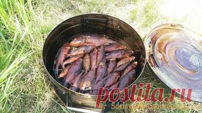 Копчение рыбы на рыбалке: быстро, просто, вкусно. Мой отчет