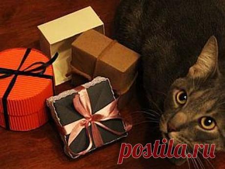 Как легко и красиво сделать упаковку? Мастер-класс