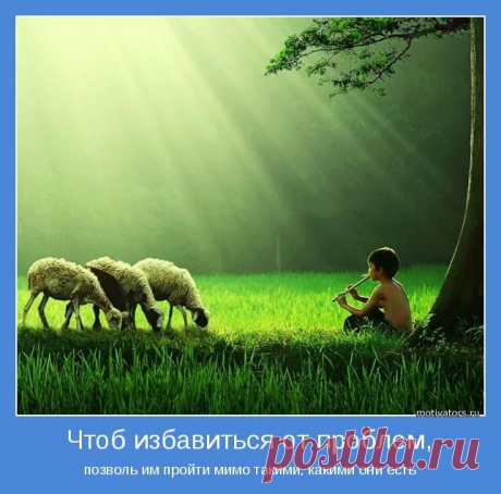 Обряд на Избавление от неприятностей — «Семь Камней»