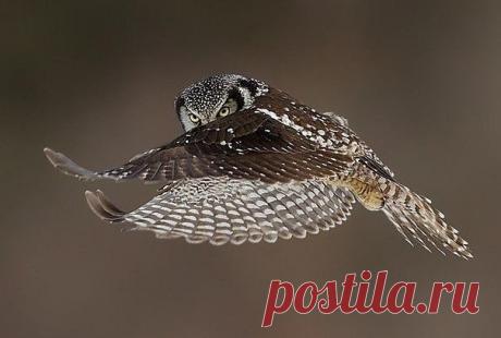 Некогда мне с вами болтать, на работу опаздываю!