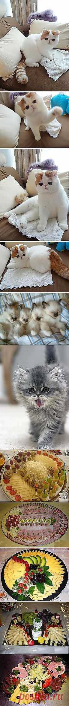 На попа | Сия история произошла с моим... и другие материалы. Новое в Вашей подборке на Постила.ru - dmitriy3-75-99@mail.ru - Почта Mail.Ru