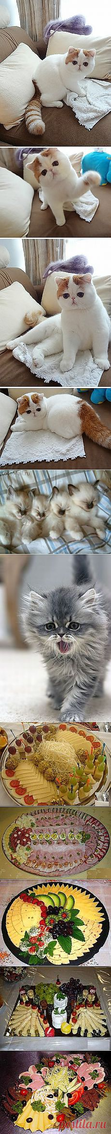 На попа | Сия история произошла с моим... и другие материалы. Новое в Вашей подборке на Постила.ru - dmitriy3-75-99@mail.ru - Почта Mail.Ru