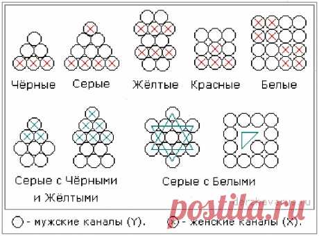 Публикация 🌞СЛАВЯНЕ в профиле Instagram: "Энергоновая система крови (группы крови) Рис. Энергоновая система кровиЧто такое энергон? На Юджизме мы уже разбирали: Три Слона стоят на…" 300 отметок «Нравится», 13 комментариев — 🌞СЛАВЯНЕ (@alatirrus) в Instagram: «Энергоновая система крови (группы крови) Рис. Энергоновая система кровиЧто такое энергон? На…»