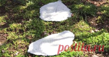 Piedras escalonadas de la hoja gigante | Hometalk
