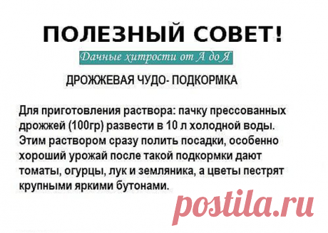 дачные хитрости