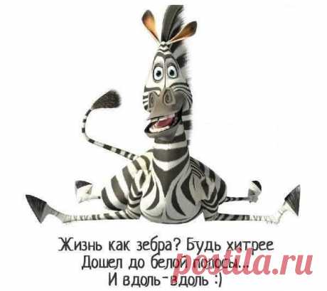 Минутка Смеха;)) Картинки-похудейки!!! — Диеты со всего света