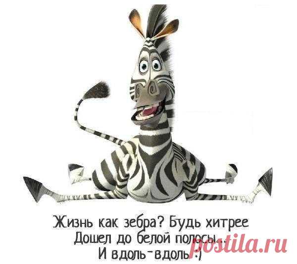 Минутка Смеха;)) Картинки-похудейки!!! — Диеты со всего света