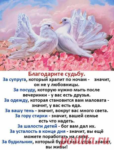 #стихи