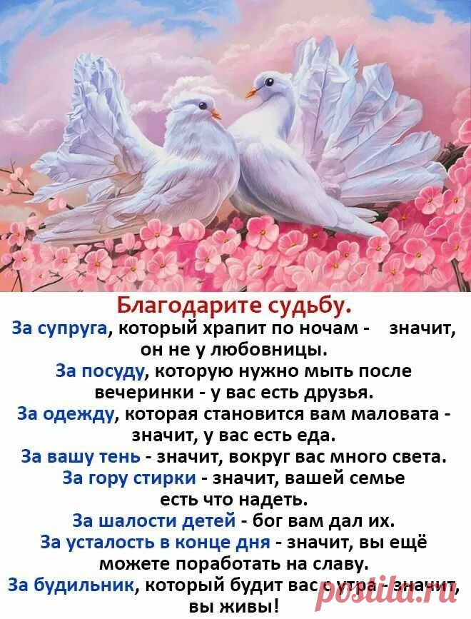 #стихи