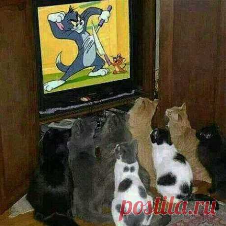 Болельщики!!!