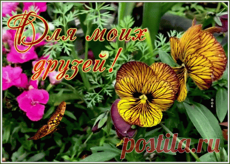 Открытка моим друзьям