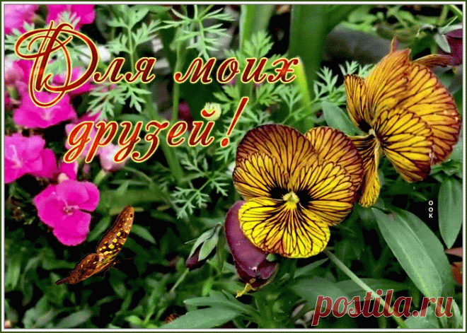 Открытка моим друзьям