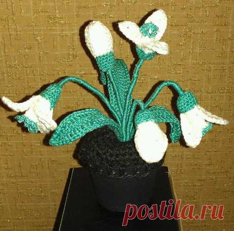 Виктория Давыдова