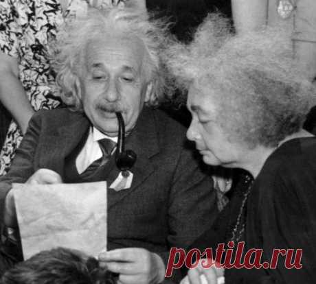Двенадцать самых популярных мифов: от трусости страусов до двоек Эйнштейна