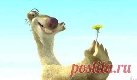 СМЕСИ С МЕДОМ ДЛЯ УКРЕПЛЕНИЯ ОРГАНИЗМА, ПОВЫШЕНИЯ ЖИЗНЕННОГО ТОНУСА, СНЯТИЯ УСТАЛОСТИ