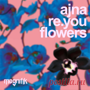 Ajna (BE), Re.You - Flowers EP | 4DJsonline.com