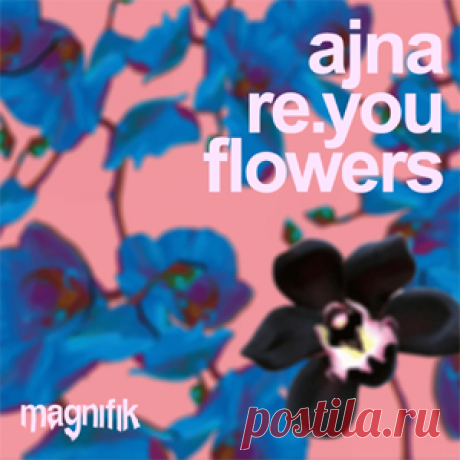 Ajna (BE), Re.You - Flowers EP | 4DJsonline.com