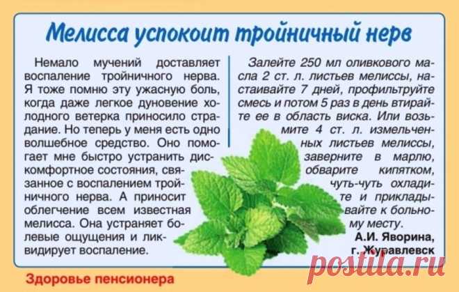 Мелисса успокоит тройничный нерв