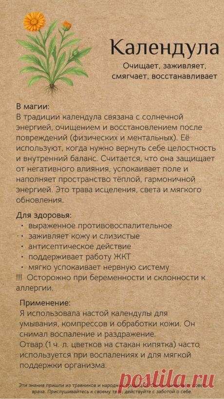 Календула для здоровья и в магии