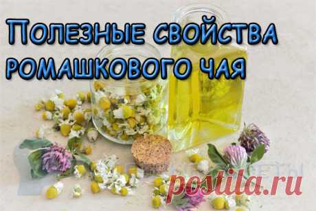 Полезные свойства ромашкового чая