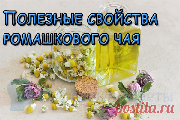 Полезные свойства ромашкового чая