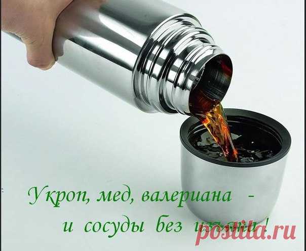 ♽ ЖЕНСОВЕТ