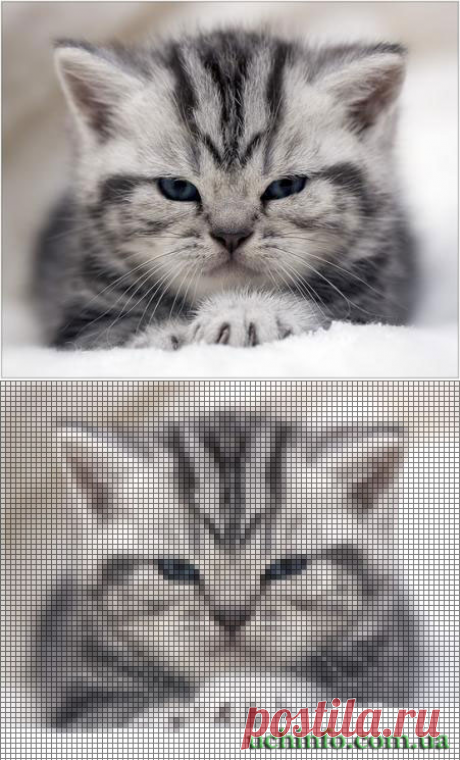 Как делать схемы для вышивки в программе PhotoShop