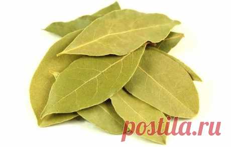 ЛАВРУШКА

Лавр – символ чистоты, целеустремленности, триумфа и бессмертия. Он дает жизненную силу, успех и исполнение желаний.

Древние римляне и греки приписывали лавру магические свойства, использовали его в своих ритуалах и верили, что лавровый лист приносит победу счастье и успех. Попробуйте и вы привлечь к себе счастье с помощью, казалось бы, совсем обычной “лаврушки”.

Волшебные свойства лаврового листа

-Напишите желание на лавровом листе, потом киньте его в огонь –...