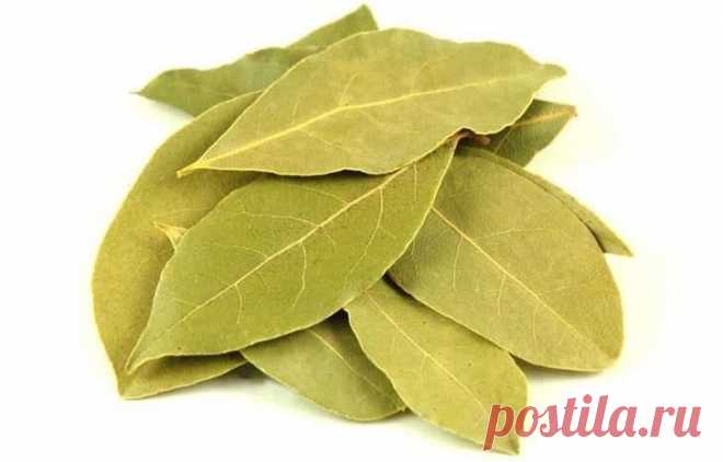 ЛАВРУШКА

Лавр – символ чистоты, целеустремленности, триумфа и бессмертия. Он дает жизненную силу, успех и исполнение желаний.

Древние римляне и греки приписывали лавру магические свойства, использовали его в своих ритуалах и верили, что лавровый лист приносит победу счастье и успех. Попробуйте и вы привлечь к себе счастье с помощью, казалось бы, совсем обычной “лаврушки”.

Волшебные свойства лаврового листа

-Напишите желание на лавровом листе, потом киньте его в огонь –...