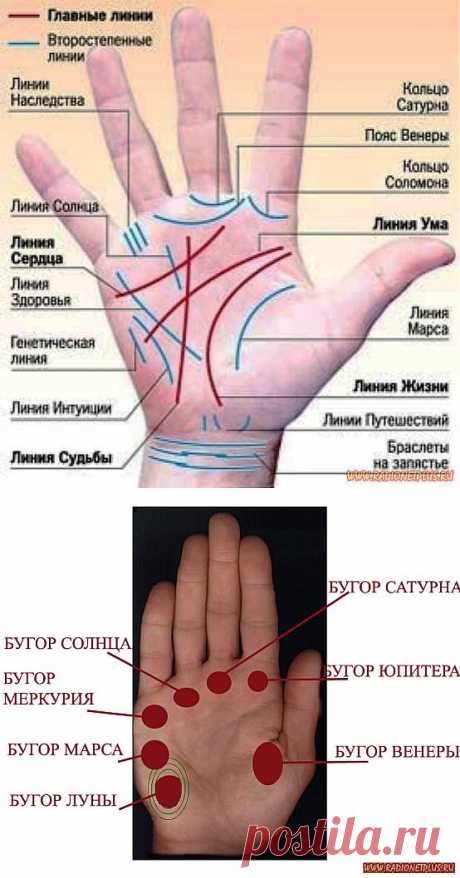 Хиромантия о профессиях | НАРОДНЫЕ ПРИМЕТЫ
