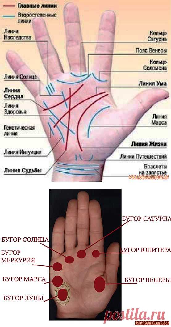 Хиромантия о профессиях | НАРОДНЫЕ ПРИМЕТЫ